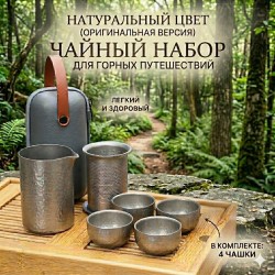 Премиальный походный чайный сервиз из титана Grey Silk (350 мл): чайник, сито, 4 чашки, чайница и кожаный кейс